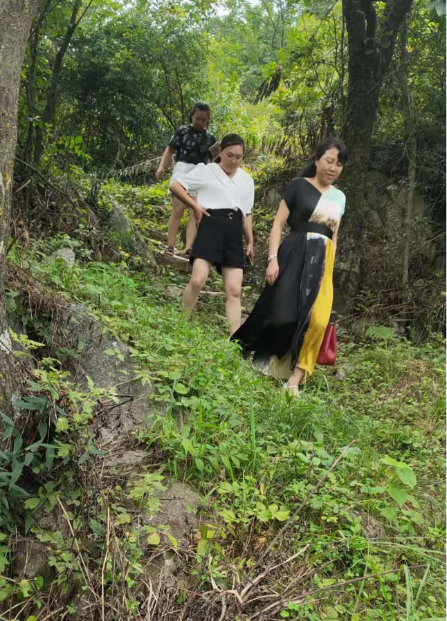 1628128618644216.png 005979c85f138bdd174da489502efdb.png